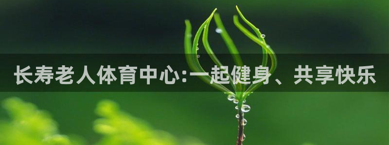 风速体育