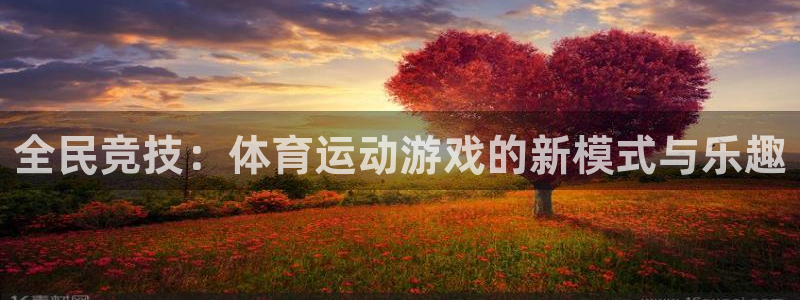 风速体育