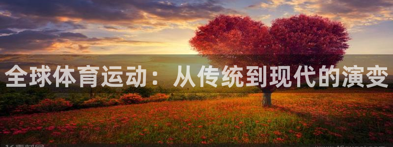 风速体育下载