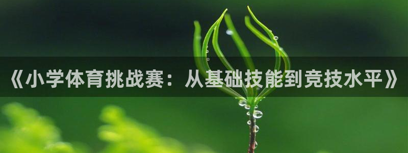 风速体育