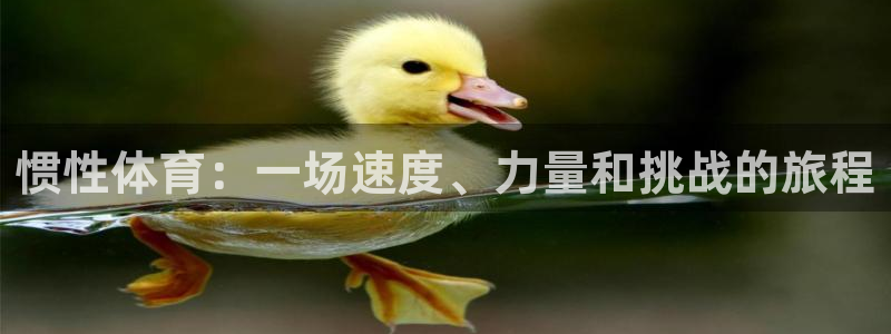 风速体育app