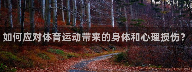 风速体育app