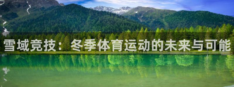 风速体育官网
