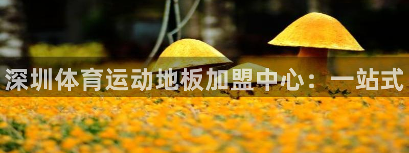 风速体育