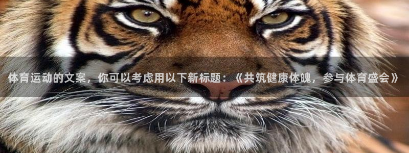 风速体育nba直播
