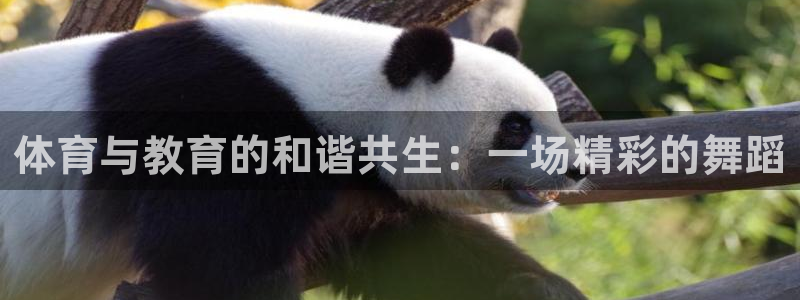 风速体育直播app