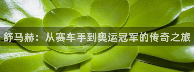 风速体育app官方下载