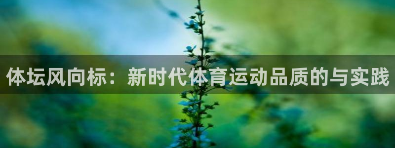 风速体育