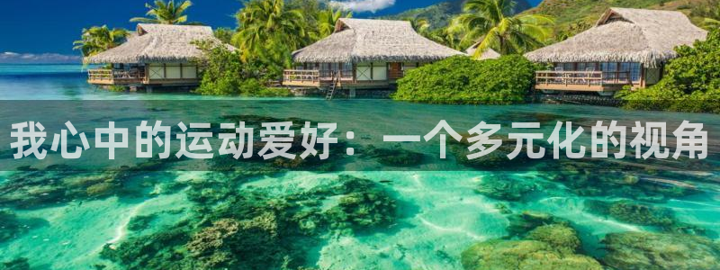 风速体育app官方下载