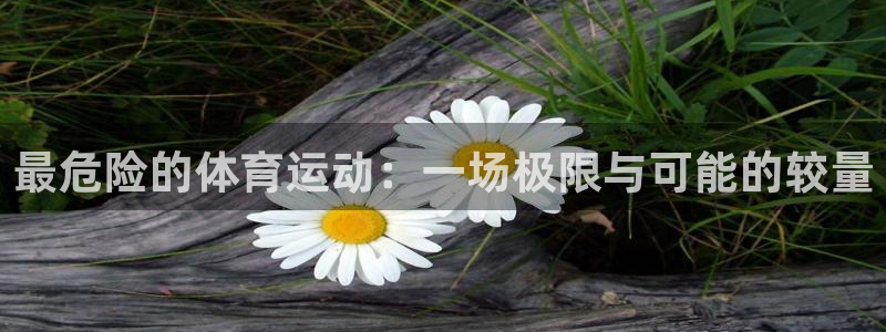风速体育nba直播