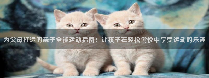 风速体育app下载官网最新版