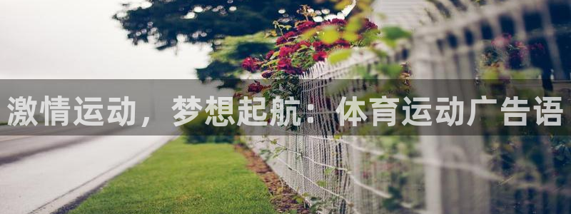 风速体育app下载安装最新版本