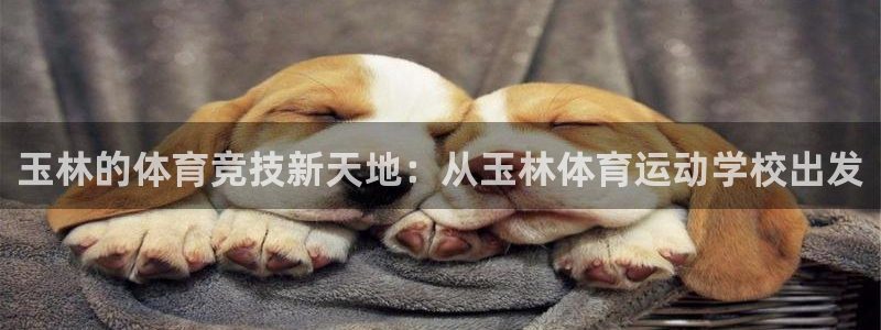 下载风速体育