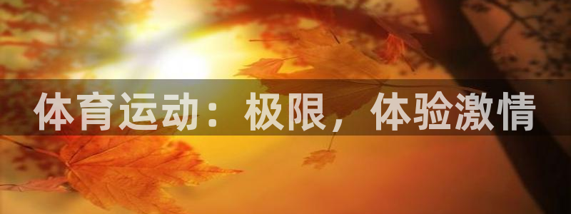 风速体育app下载官网最新版