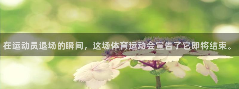 风速体育app下载官网最新版