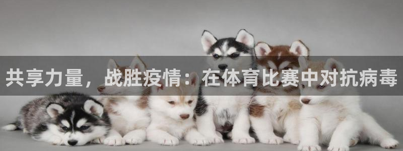 下载风速体育