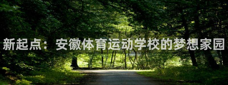 风速体育app下载官网最新版